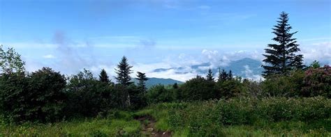 Andrews Bald Hiking Trail Smoky Mountains Tennessee