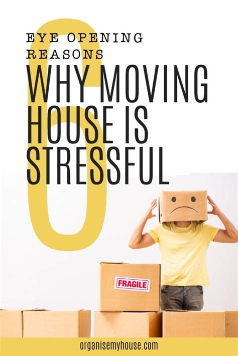 6 Eye Opening Reasons Why Moving House Is Stressful
