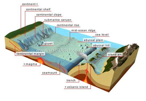 56 Best Images About Cc Cycle 1 Week 18 On Pinterest Deep Sea Mound