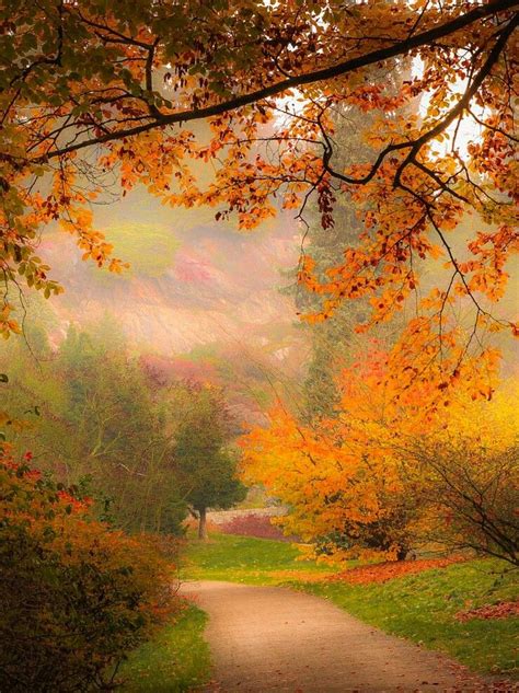 Pin By Coloring Book Zone On Autumn Fall Beautiful Landscapes