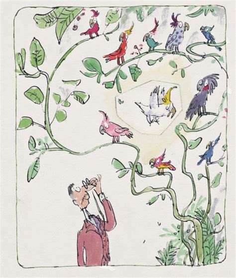 Picture Books Gallery Quentin Blake Quentin Blake Illustrations