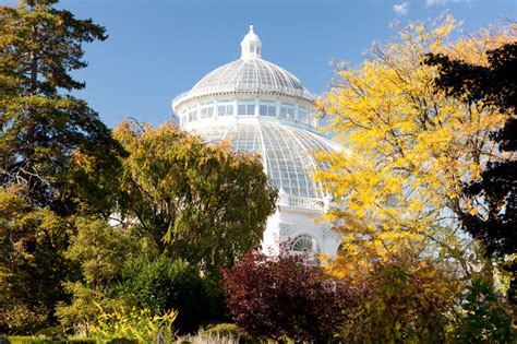 Maybe you would like to learn more about one of these? New York Botanical Garden - NYC-ARTS