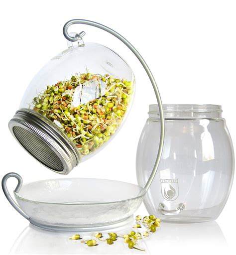 Buy Sprouting Jar Kit Unique 30 Oz Wide Mouth Sprouting Jar Stand
