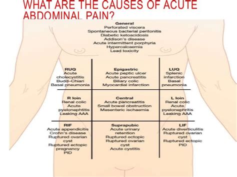 Clinical Vignette 5 Acute Abdominal Pain