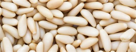 Eating Pine Nuts Health Benefits Holland And Barrett