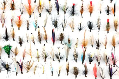 Fly Fishing Lures Flies With Fisherman Stock Image Image Of Detail