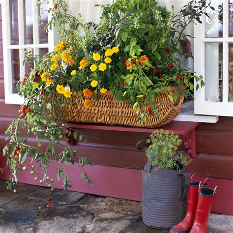 In your choice of colors and sizes, our selection of window boxes are perfect for foliage plants and flowers. Flower Boxes That Thrive in the Sun in 2020 | Window box ...
