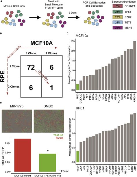 An Isogenic Cell Line Panel For Sequence Based Screening Of Targeted