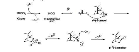 Solved This Experiment Is The Green Oxidation Of S Borneol