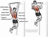 Teres Major Muscle Exercises Photos