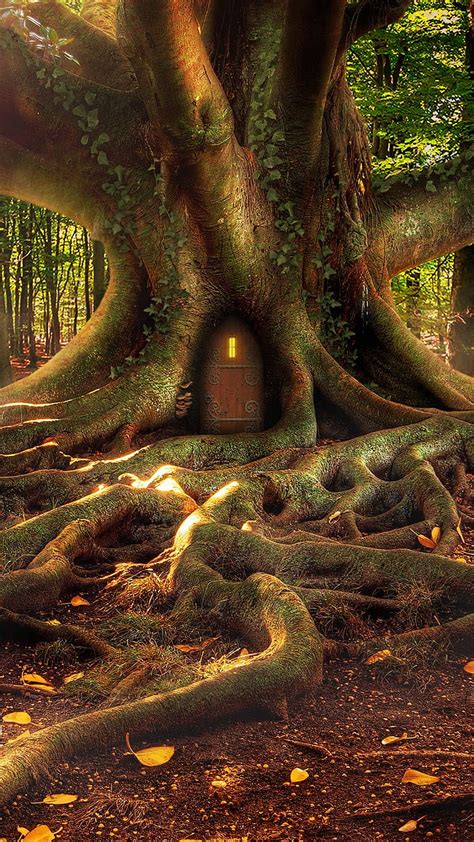 Fantasy Tree Roots Forest House Hd Phone Wallpaper Peakpx