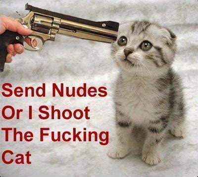 Send Nudes Or I Shoot The F Cat Send Nudes Know Your Meme