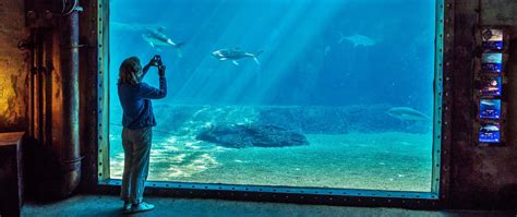 Ushaka Marine World World Class Aquarium And Water Park Kzn Gl