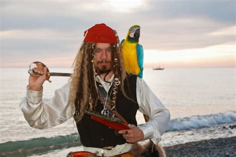 Did Pirates Really Keep Pet Parrots Myths And Facts Explored Pet Keen