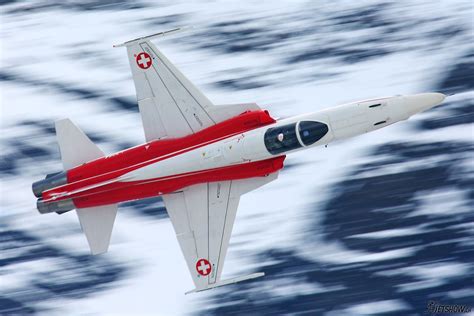 A notable unit was the gabel squadron led by heiko reck. f5E tiger patrouille suisse | Luftwaffe