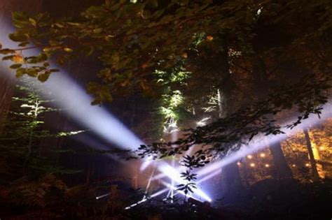 Plans Unveiled For Festive Forest Lights Show At Beecraigs This