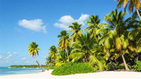 Las 15 Playas Más Bellas De Jamaica Costa Cruceros