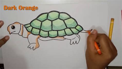 Mewarnai gambar kura kura hitam putih. Mewarnai gambar kura kura | Turtle Coloring Pages for Kids ...