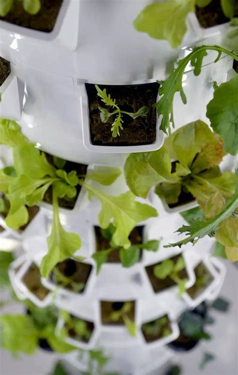 How To Assemble Your Diy Aeroponic Tower Garden