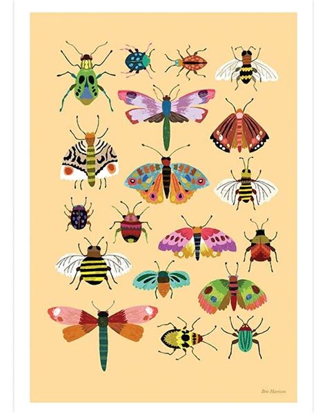 Insects Art Print Brie Harrison
