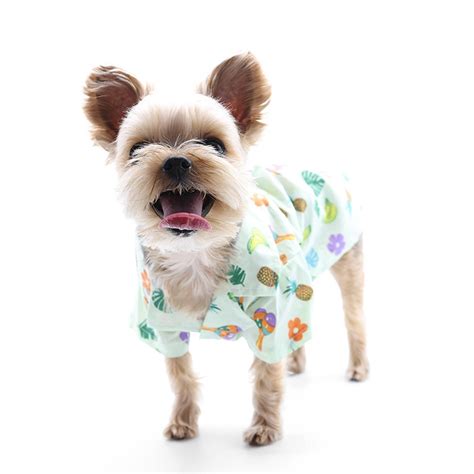 Dogo Vacation Dog Shirt With Same Day Shipping Baxterboo