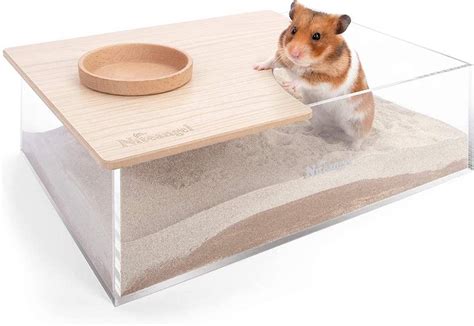 Hamster Sand Bath Do You Actually Need One Hamsteropedia