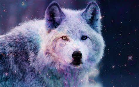 Galaxy Wolf By Darkplume Galaxy Wolf By Darkplume Wolf Images Wolf