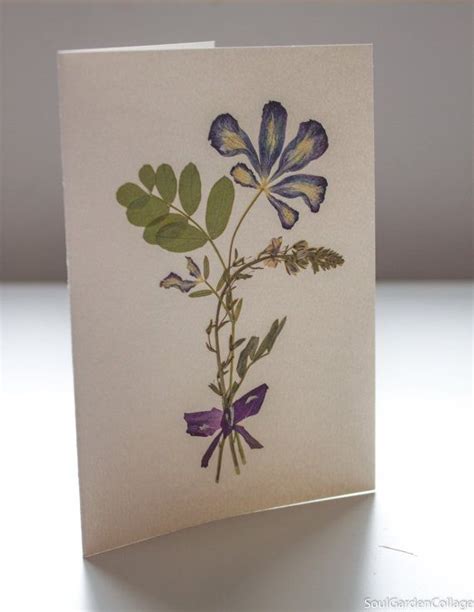 How To Make Greeting Cards With Pressed Flowers How To Make Pressed
