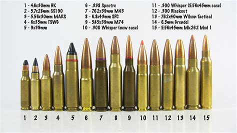 A Complete Guide To Alternative Ar Rounds Percent Arms