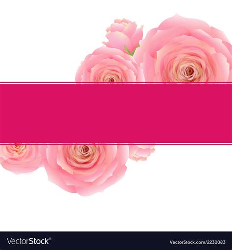Pink Rose Banner Royalty Free Vector Image Vectorstock
