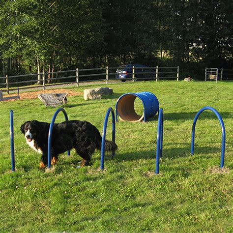Hound Hoops Dog On It Parks Caddetails