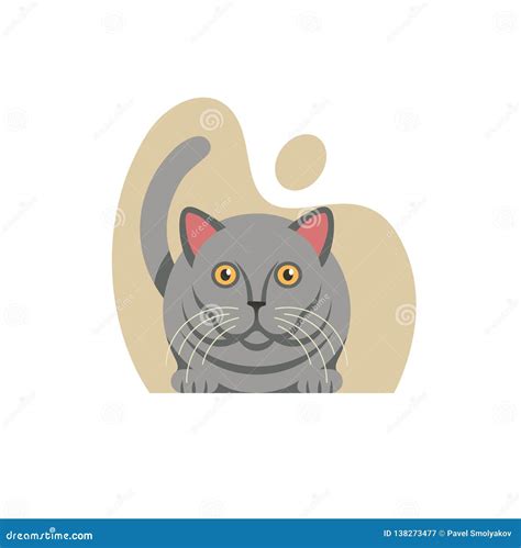 British Shorthair Cat On White Background Vector Illustra Stock Vector Illustration Of
