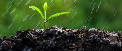 Soil Moisture Webinar Series—soil Moisture 101 What It Means And How
