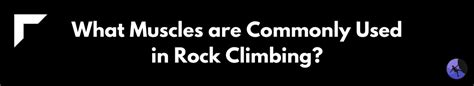 Does Rock Climbing Build Muscle Conquer Your Crux