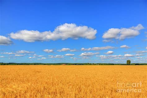 August Countryside 6 Photograph By Veikko Suikkanen Pixels