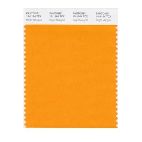 Pantone Smart 15 1164x Color Swatch Card Bright Marigold House Paint