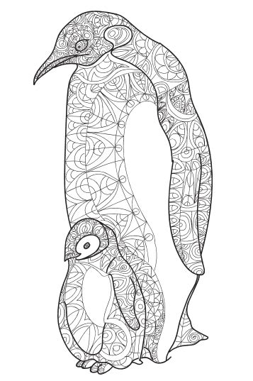 Printable Adult Coloring Book Animals