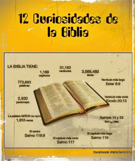 Infografias Las Curiosidades De La Biblia Vos Regional
