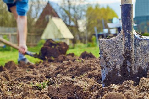 Preparación del suelo de tu invernadero Productos de Jardín