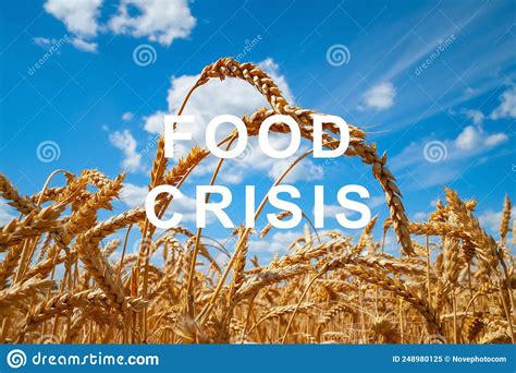The Problem Of Food Insecurity In The World Food Crisis And Crop