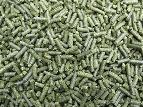 Dehydrated Alfalfa Pellets By Jg Timmerman Netherlands
