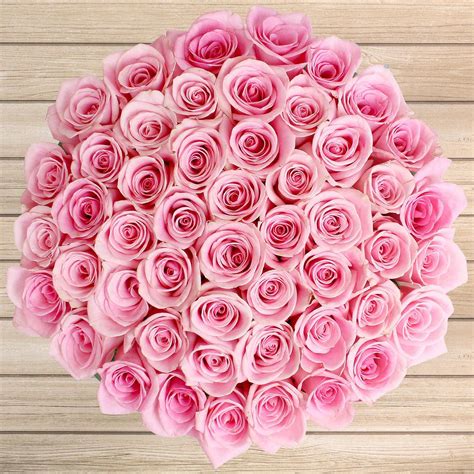 50 Stem Light Pink Roses Light Pink Rose Pink Roses Online Wedding
