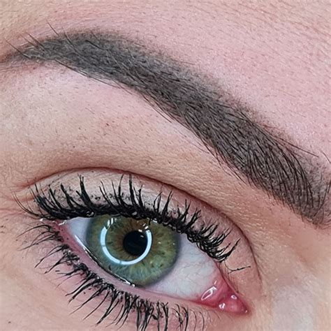 Discover The Womens Eyebrow Semi Permanent Makeup Project Molinaro
