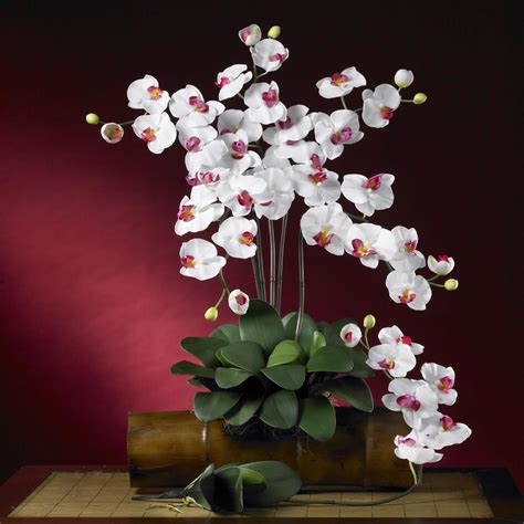 White Phalaenopsis Silk Orchid Flower Wleaves 6 Stems 204 Orchid