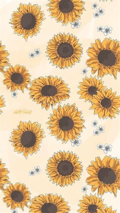 Download Sunflowers Background Phone Backgrounds Wallpaper