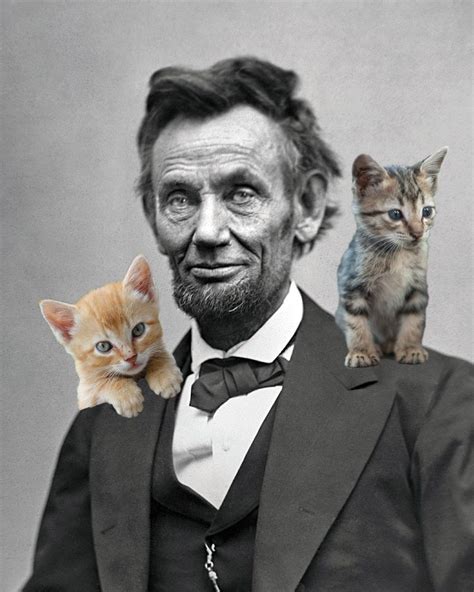 Us Presidential Cats 10 Cats Who Lived In The White House