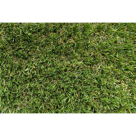 Compare the top 10 types of lawn grass with this handy chart and pictures. Tuff Turf 1.8m 35mm Natural Synthetic Turf - Bunnings Warehouse | Synthetic turf, Artificial ...
