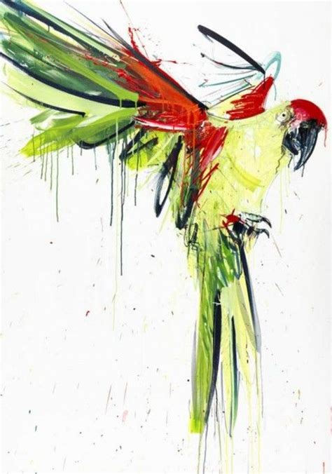 Parrot Dave White Animal Painter White Art