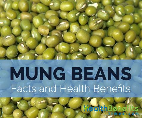 Bean sprouts are an easy way to add a lot of nutrients to your food and have been linked to numerous health benefits. Mung beans Facts, Health Benefits and Nutritional Value
