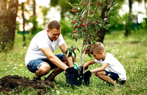 How To Conduct A Tree Planting Activity With Kids